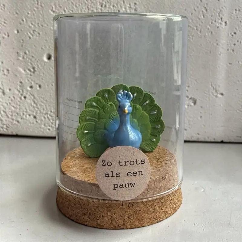 Zo Trots als een Pauw - Grote Pauw in Stolp