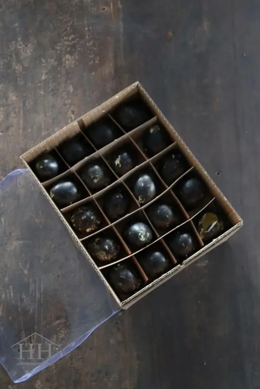 Zwarte kwarteleitjes 60 stuks
