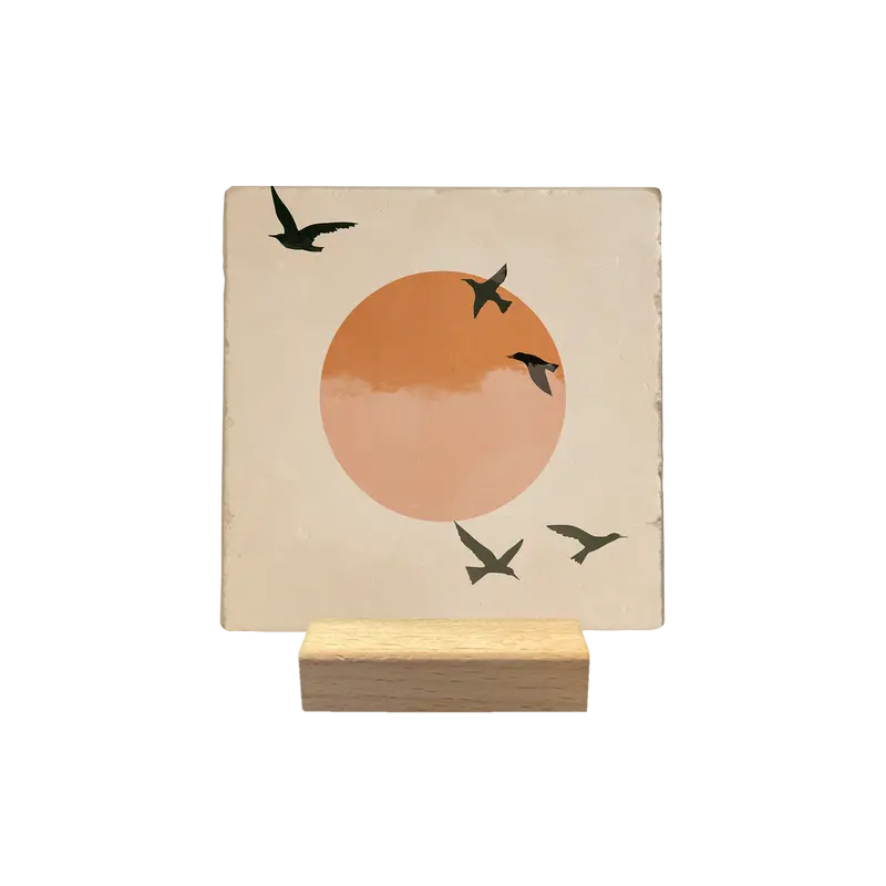 Zwarte vogels