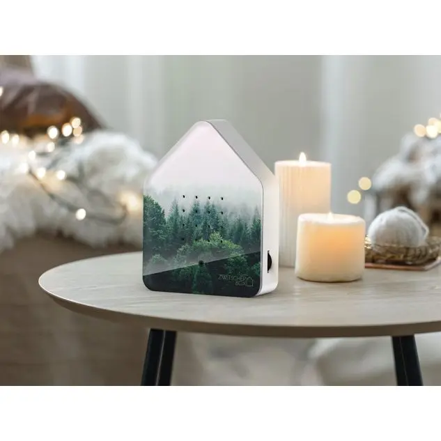 Zwitscherbox Morning Forest Limited Edition